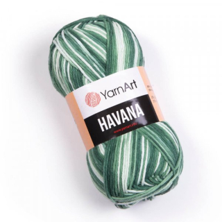 HAVANA 2113