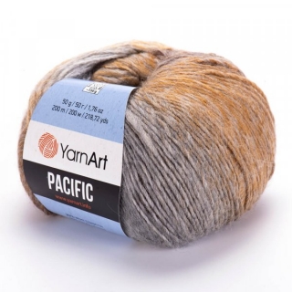 PACIFIC 311
