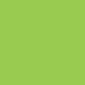 BAMBOO 563