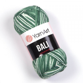 BALI 2113
