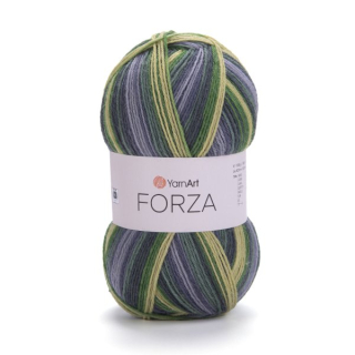 FORZA 2505