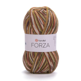 FORZA 2511