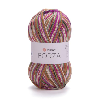 FORZA 2513